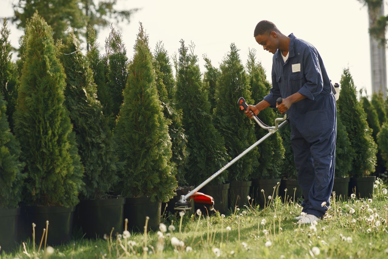 Man using grass cutter to trim trees in a sunny outdoor garden.